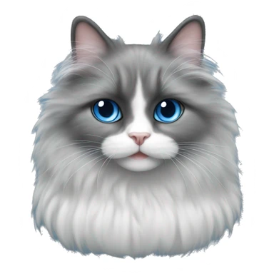 Gato angora negro con blanco ojos azules  sticker