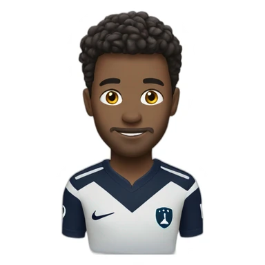 Tottenham Hotspur sticker