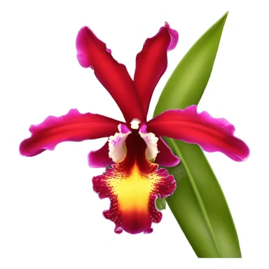 Cattleya coccinea sticker