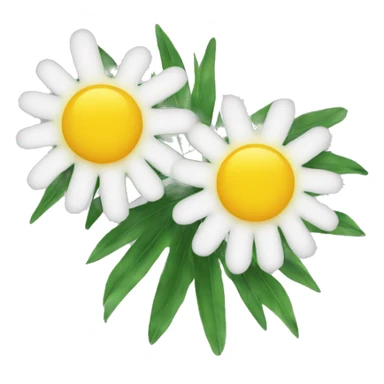 a mimosa sticker