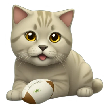 golden british shorthair playing rugby sticker