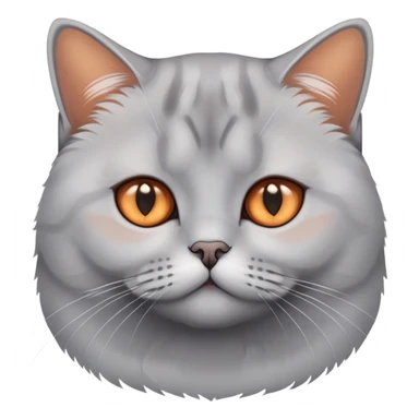 British shorthair silver gradient cat with copper eyes and dense coat sticker