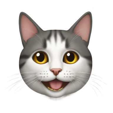 kedi kaplumbağa sticker