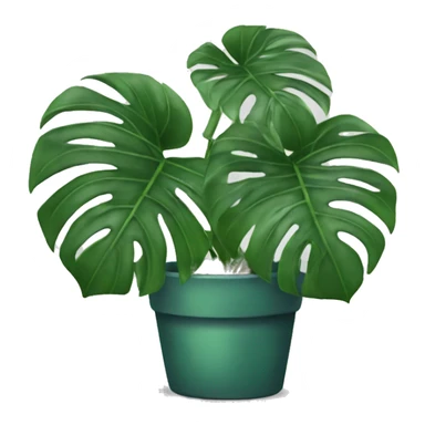Monstera plant sticker