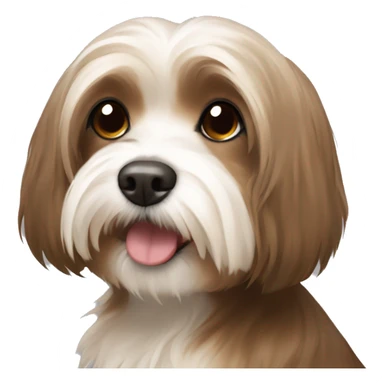 Tan havanese dog with a brown hair girl sticker