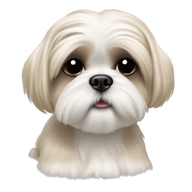 cream shih tzu white girl cute short hair  sticker