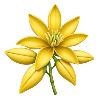 ylang ylang flower little closed sticker