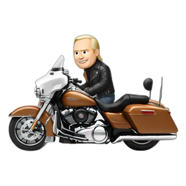 Vladimir Poutine on a Harley Davidson sticker