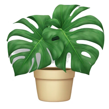 Monstera plant sticker