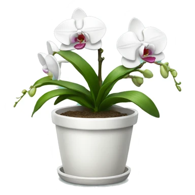 white potted orchid sticker