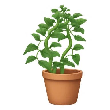 a Climbing Plant in a pot sticker