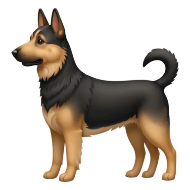 Chien noir avec poitrail blanc sticker