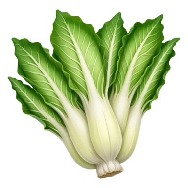 green blegian endive radicchio smooth sticker