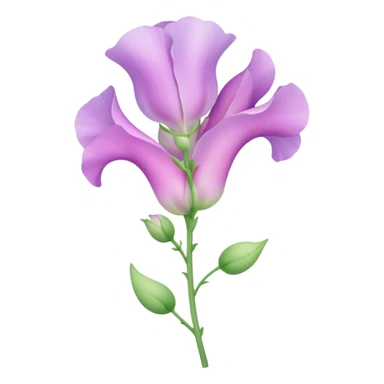 Sweet pea, flower sticker