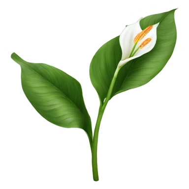 Peace lilies flower sticker