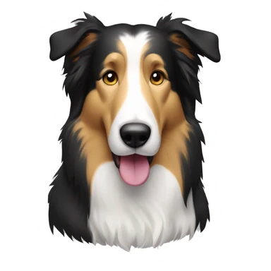 beared collie sticker