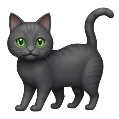full body gorgeous solid dark grey cat with green eyes, white paws and white whiskers playing sticker