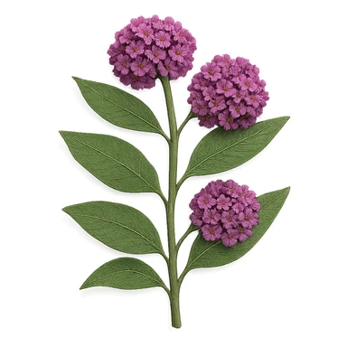 very detailed milkweed plant, intricate cut paper textures, green leaves, clusters of pink and purple flowers, realistic details sticker