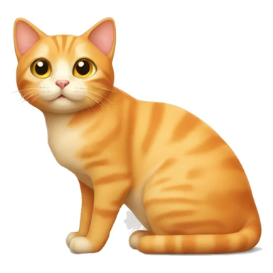very light orange cat sticker