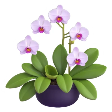 Realistic phalaenopsis orchid with delicate blooms and prominent large green leaves clearly visible sticker