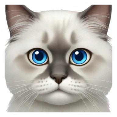 Persian cat blue eyes  sticker