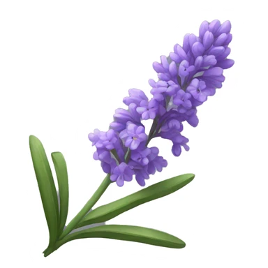lavander sticker