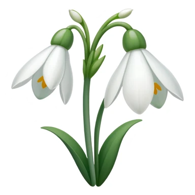snowdrop flower sticker