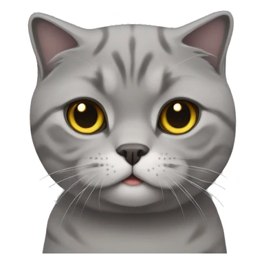 Grey Scottish Fold Cat sticker