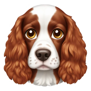 Red and white french britanny spaniel dog sticker