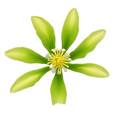 Ashwagandha flower with greenish-yellow petals and a central yellow stamens emojis sticker