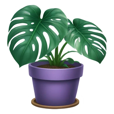 all violet monstera plant in pot sticker