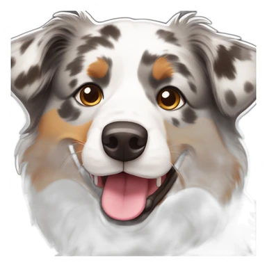 Australian shepherd dog with grey, white and light brown markings sticking it's tongue out sticker