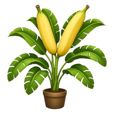 Banana plant tree sticker