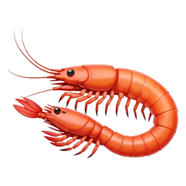 prawn sticker