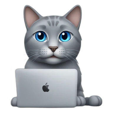 A blue-eyed gray cat with a macbook computer sticker
