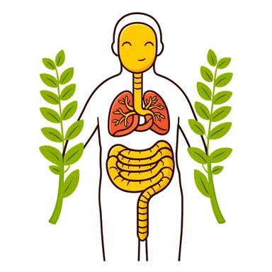 Cute simplified human digestive system diagram with stomach and intestines, surrounded by golden wheat stalks and green leaves. Bright healing particles moving through the digestive tract, showing food digestion and cleansing process sticker