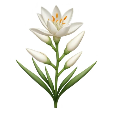 tuberose sticker