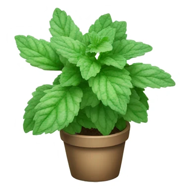 variegated mint plant sticker