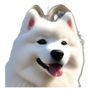 happy samoyed in front of reims' cathedral sticker