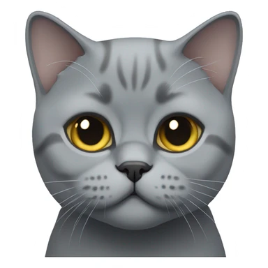 Grey british shorthair sticker