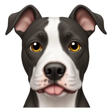 American pitbull terrier black and white brown eyes sticker