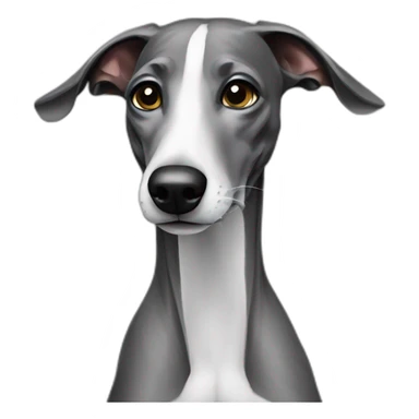 Galgo noir sticker