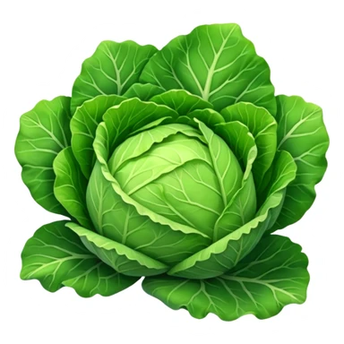 cabbage sticker