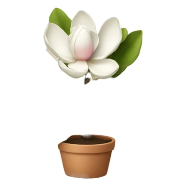 Magnolia in a pot sticker