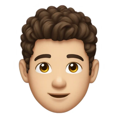 Nick Jonas sticker