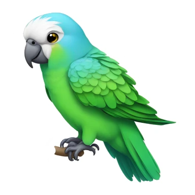 Parakeet  sticker