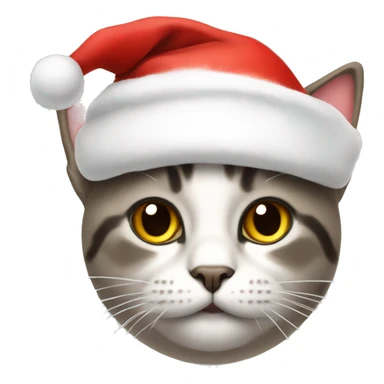 cat with a christmas hat sticker