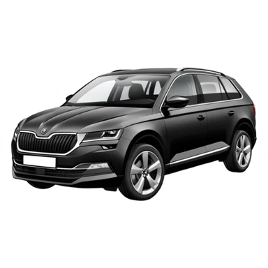 Cartrip with new black skoda enyaq sticker