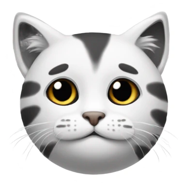 Gatito blanco y negro tierno sticker
