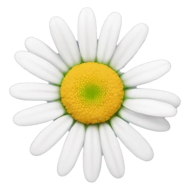 White daisy  sticker